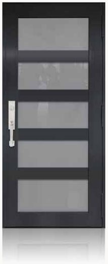 Single Bronze № 41 — decorative door panel design TD-SD-B41