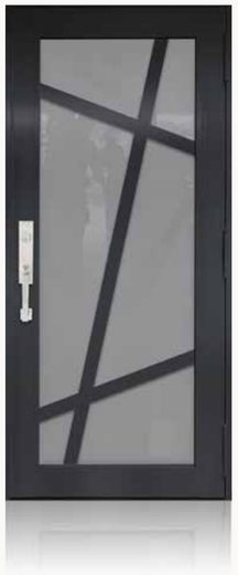 Single Bronze № 46 — decorative door panel design TD-SD-B46